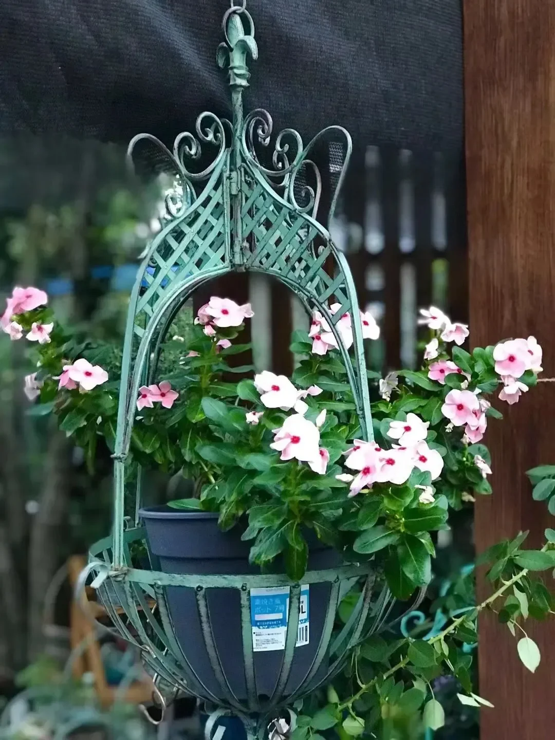 Foreign tradeAmerican-style rural home furnishings, wrought iron, hanging hanging baskets, flower baskets,