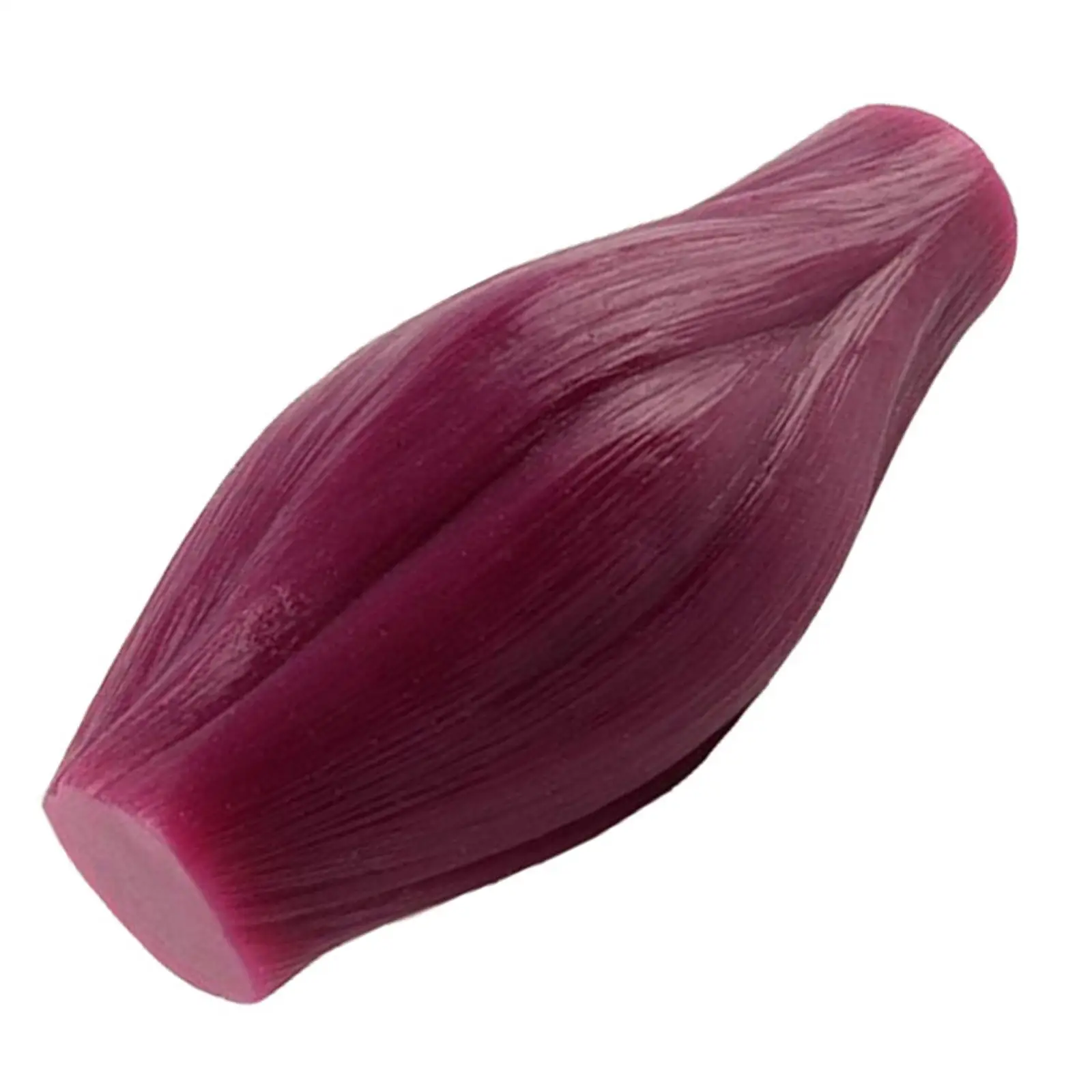 نموذج طبق الأصل لعضلات جسم الإنسان عرض نموذج أنسجة العضلات التشريحية خفيف الوزن نموذج تشريحي لتعلم علماء التغذية