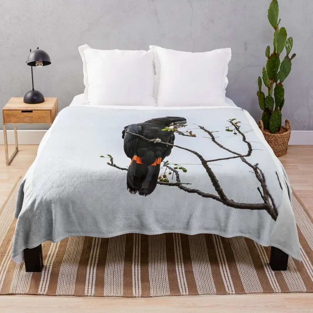 Animal Collection - Black Cockatoo Red Tail Throw Blanket Sofa Quilt Blankets For Bed Warm Blankets