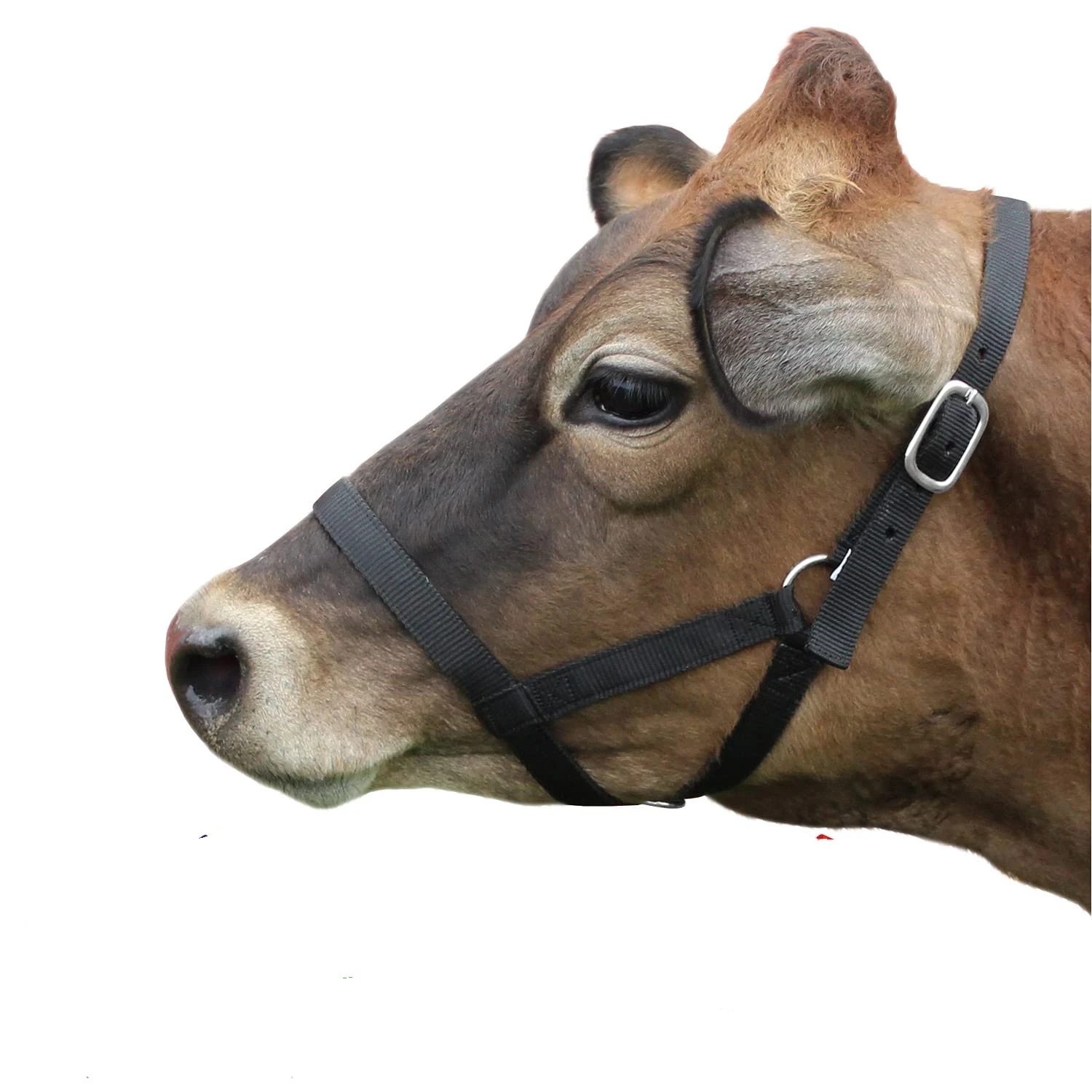 

Adjustable Nylon Livestock Head Halter for Cattle & Horses – Breathable Rope Lead Leash, Tether Tie for Farm Animals