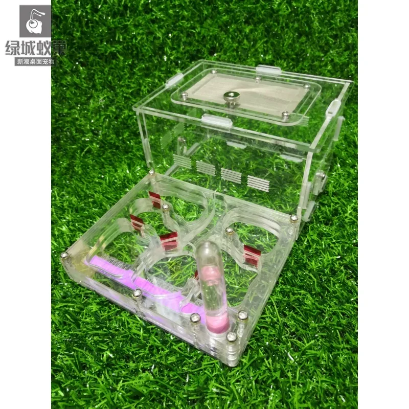 Medium Sized Flat Ant Nest with Dry Wet Separation, Separate Layer Ant Nest, Pet Acrylic