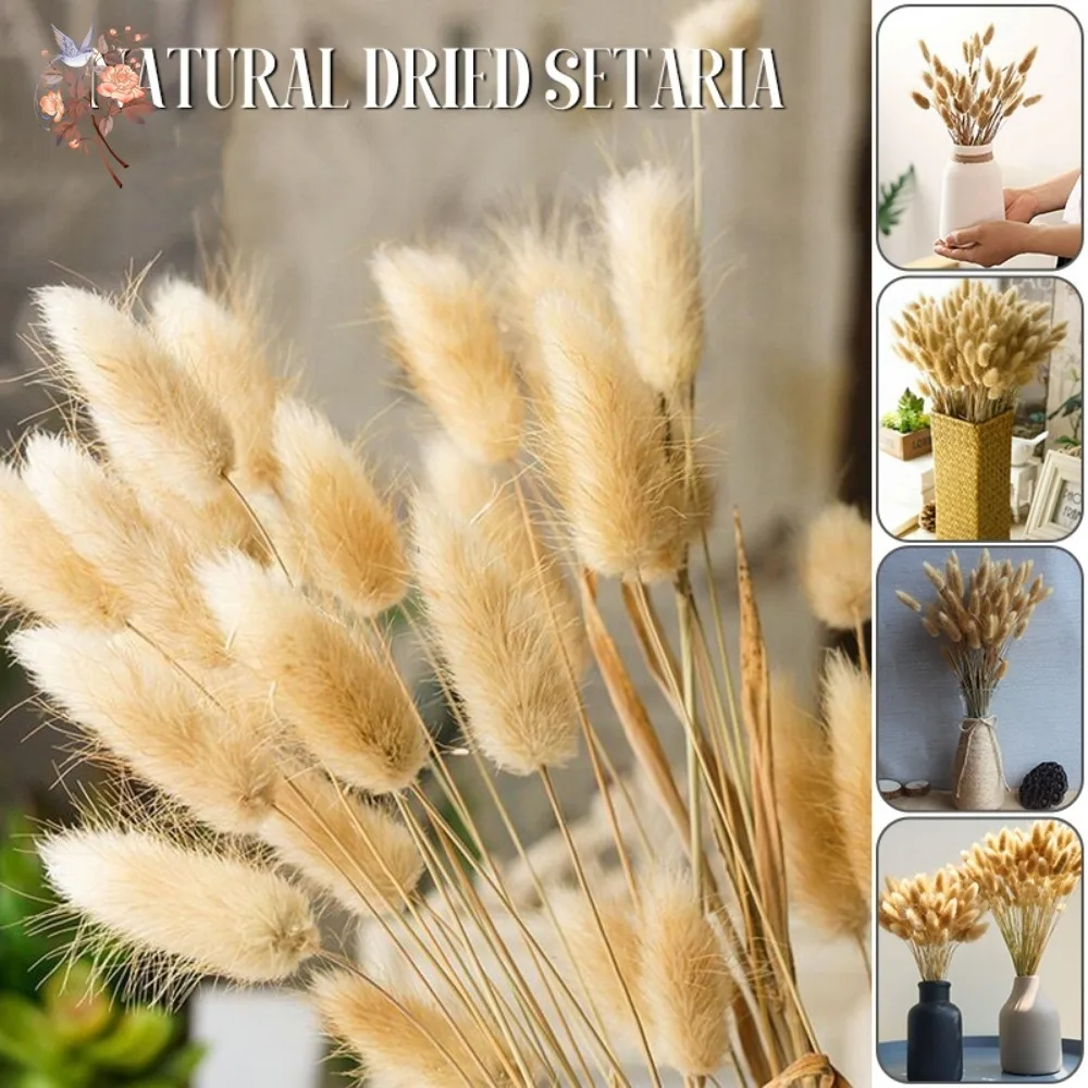 60 Stück flauschige Häschen-Kaninchen-Schwänze, Gras-Blumenstrauß, Heimdekoration, getrocknete Blumen, natürliche Lagurus Ovatus Pampas, Hochzeit, Blumendekoration