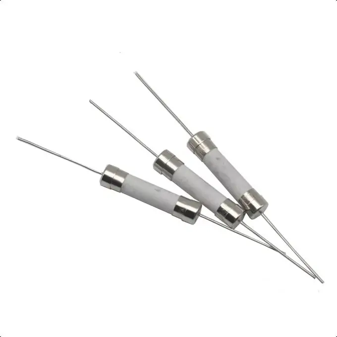 【10PCS】6*30mm Miniature Fuses 10A 12A 15A 20A 25A 30A 250V 6x30mm Axial Lead Ceramic Fuse