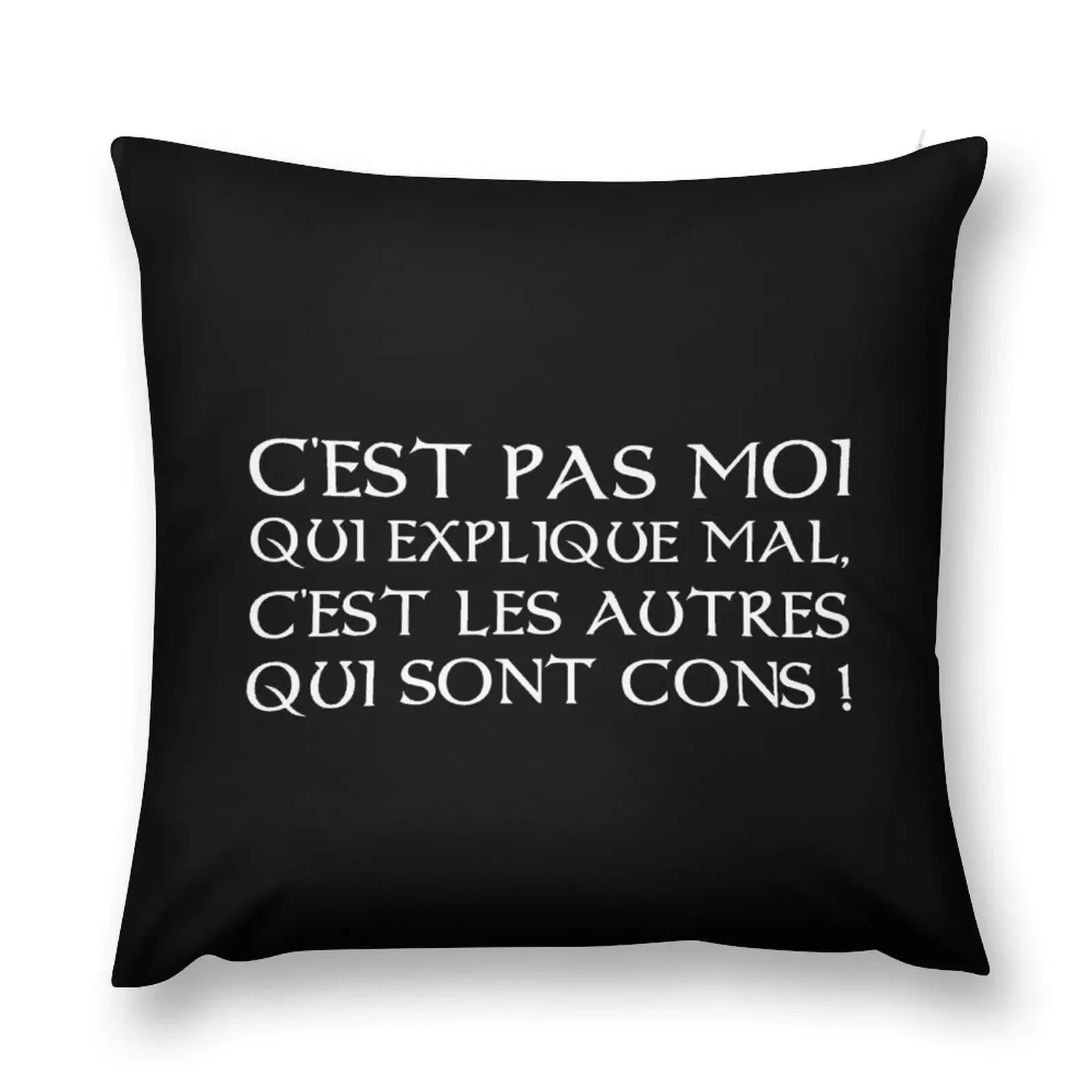 Kaamelott - It's the others who are stupid Throw Pillow Decorative Pillow Covers For Sofa Pillows Aesthetic pillow