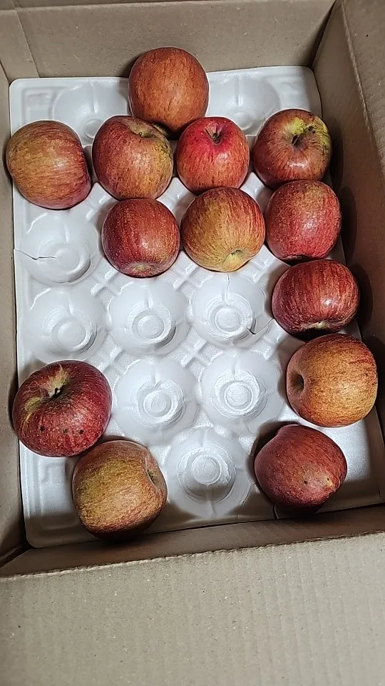 실물 포토 리뷰