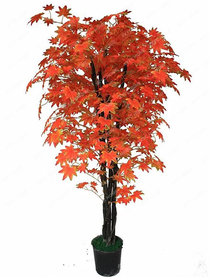 Large Sino-Japanese Red Maple Home Tea Room Exhibition Hall Store Ground Floriculture Decoration