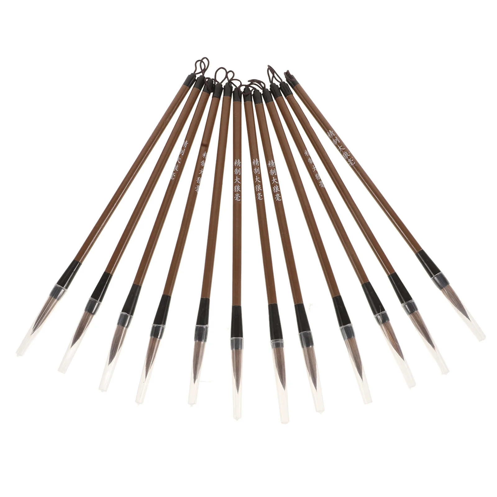 

12Pcs Chinese Calligraphy Brush Set Versatile Ink Brushes for Calligraphy Writing Painting Kits Beginners Chinese Painting Tools