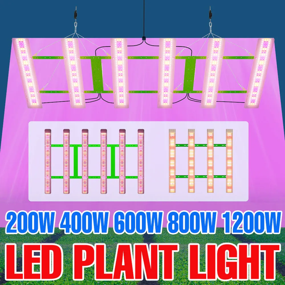 

1200W LED Plant Grow Lights Full Spectrum Quantum Board Greenhouse Growth Tent Hydroponics Cultivation Tomato Vegetables UV Lamp