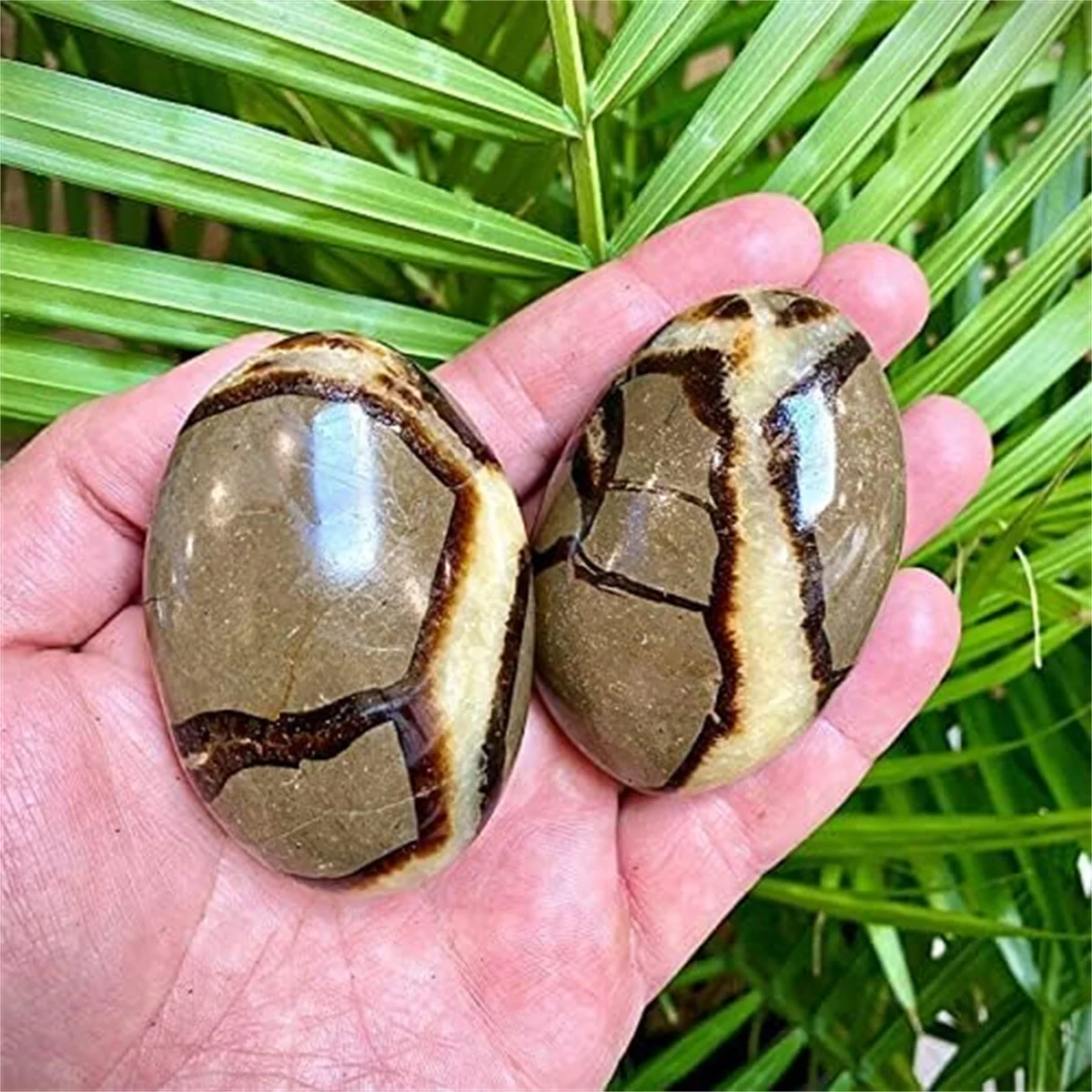 1Pc 5-7cm Septarian Crystal Dragon Stone Healing Crystals Yoga Reiki Meditation Crystal Grid Healing Massage Spa Energy Crystals