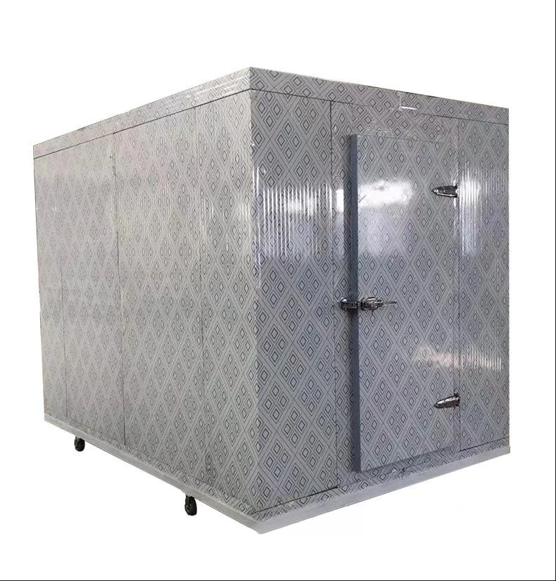 

Cold Chain Logistics Transportation Refrigeration Box for Ice Cream Used for Truck and Pedicab