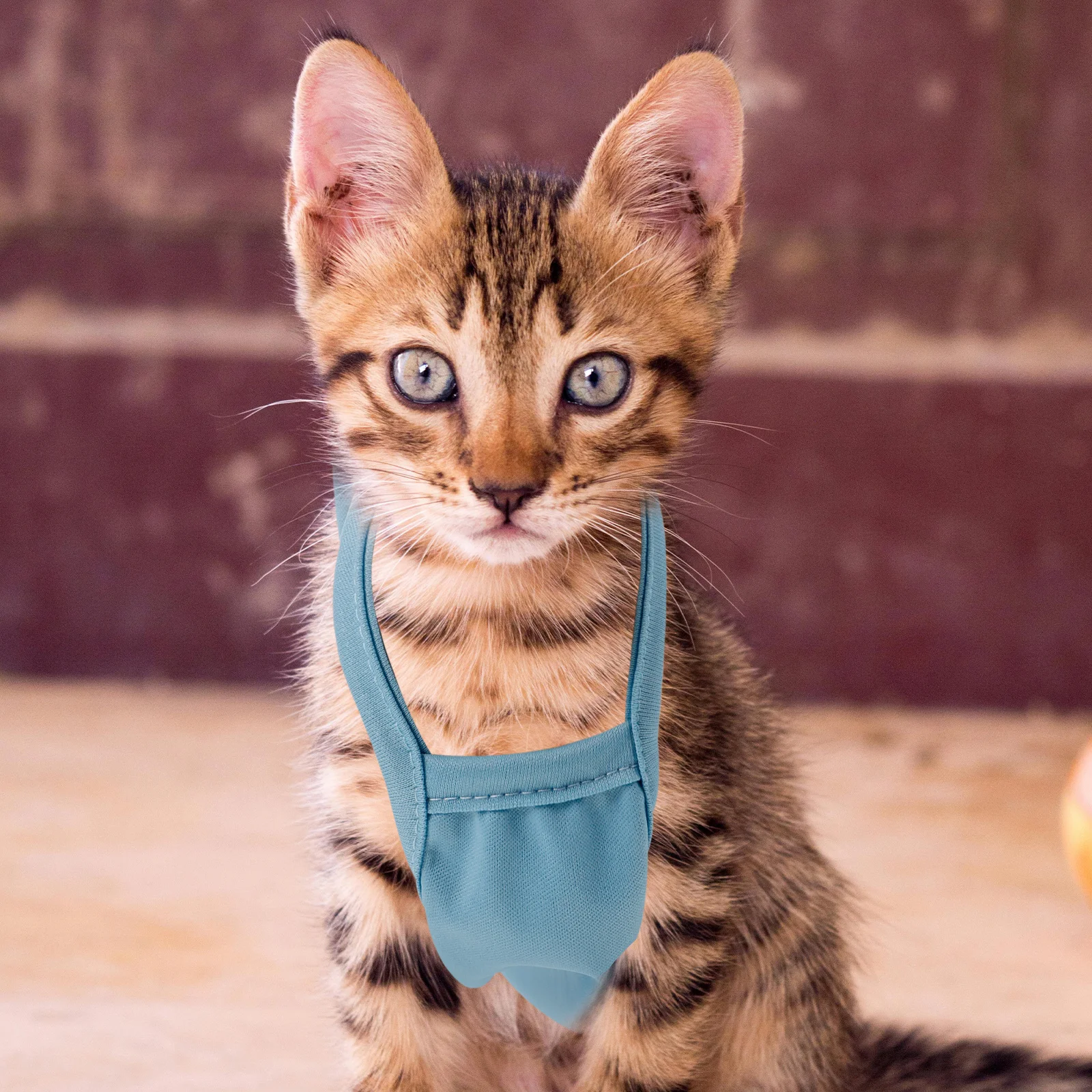 

Warm Belly Wrap For Dogs Soft Pet Tummy Suit Winter Dog Clothing Puppy Costume Waterproof Dog Jacket Comfortable Pet