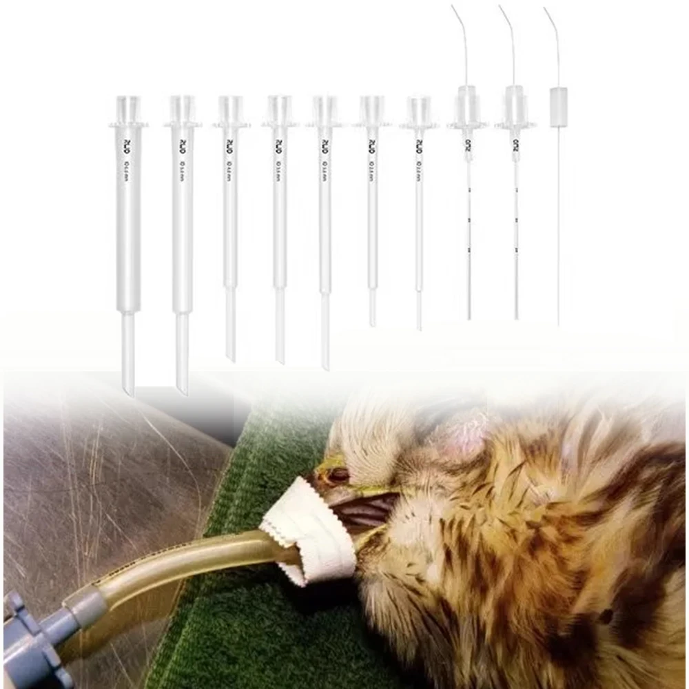 Exotic Pet Bird Avian Medical Bird Endotracheal Intubation Tube ETT Anesthesia With Cuff Stylet Silicone 9PCS Clinic Supplies