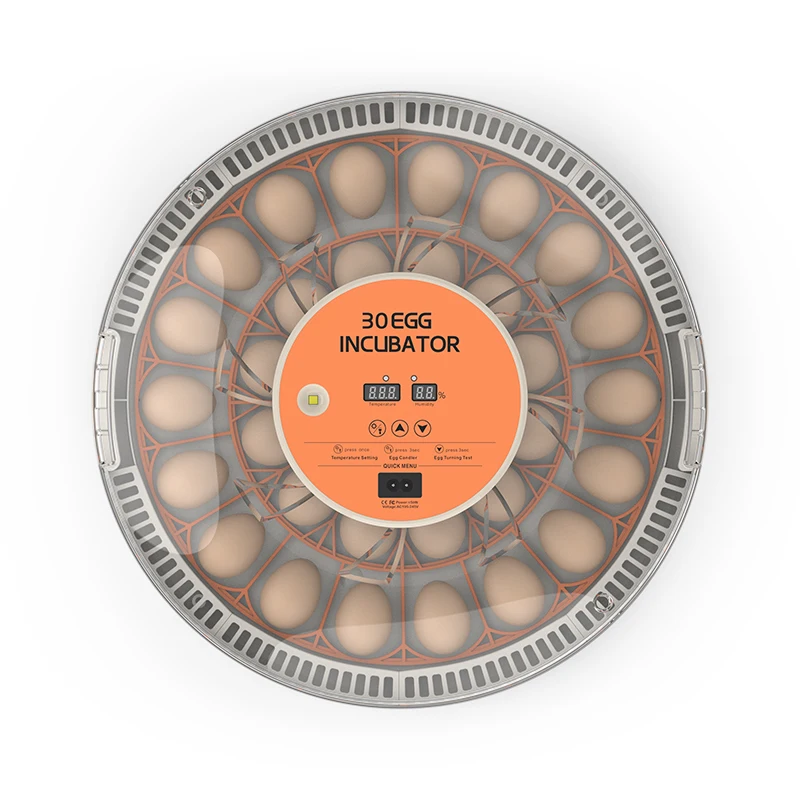 

Fully Automatic Multifunctional 30H Digital Temperature Humidity for Incubator