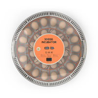 Fully Automatic Multifunctional 30H Digital Temperature Humidity for Incubator