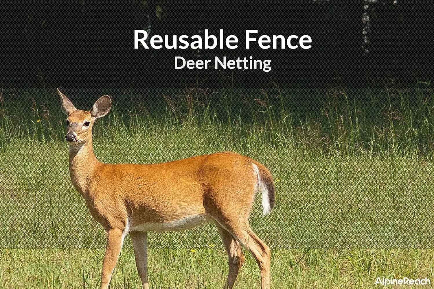 شبكة حديقة شديدة التحمل مقاس 7.5 × 100 قدم، شبكة دقيقة لحماية نباتات الطيور والغزلان مع أربطة بسحاب، سياج أسود قابل لإعادة الاستخدام