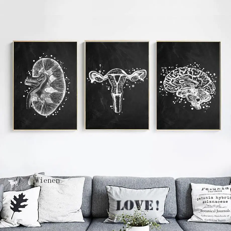 （Unframe 3PCS）-Black & White Anatomy Art Human Canvas Painting Heart Lung Brain Gut Uterus Wall Print Poster Pictures for Doc