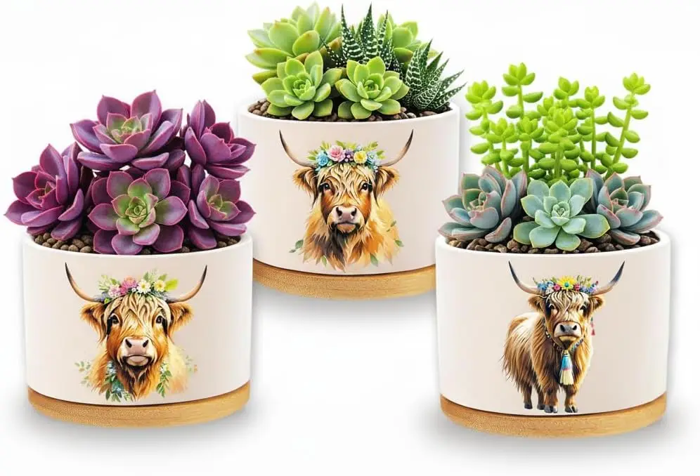

Highland Cow Planters for Indoor Plants – 1350°C Kiln-Fired Fine Ceramic Succulent Planter Set of 3, Cute Animal Pots