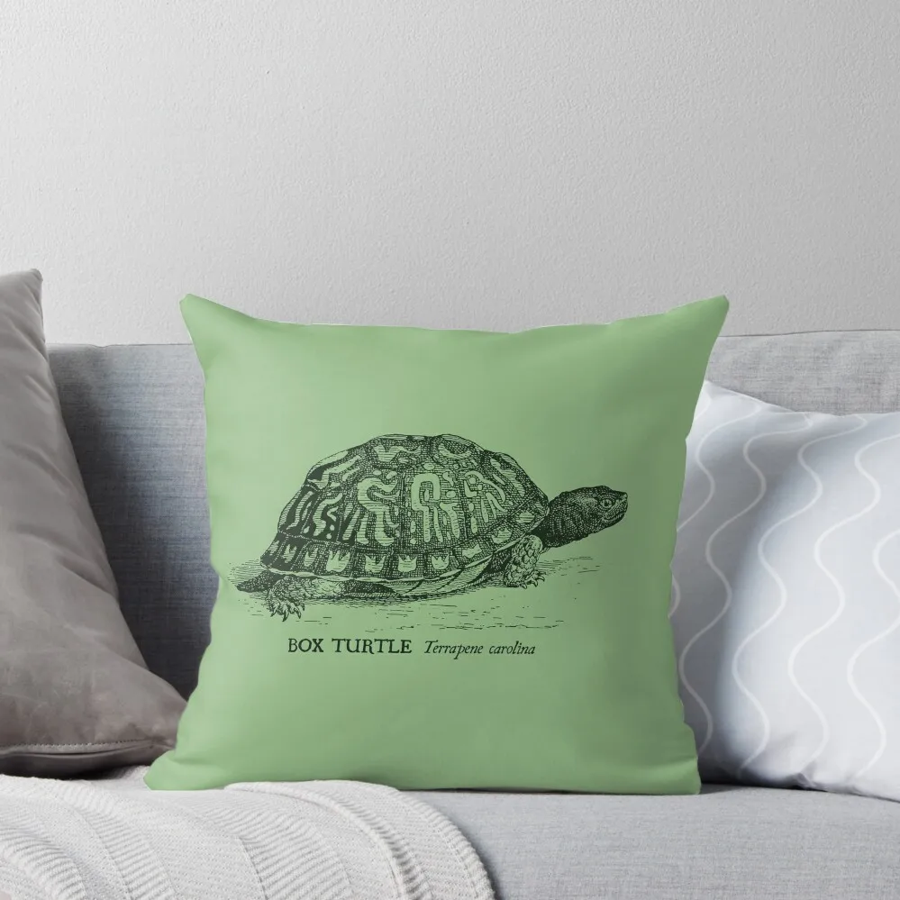 

Box Turtle - Vintage scientific illustration Throw Pillow Ornamental Pillow Cushions Cover Sofas Covers pillow