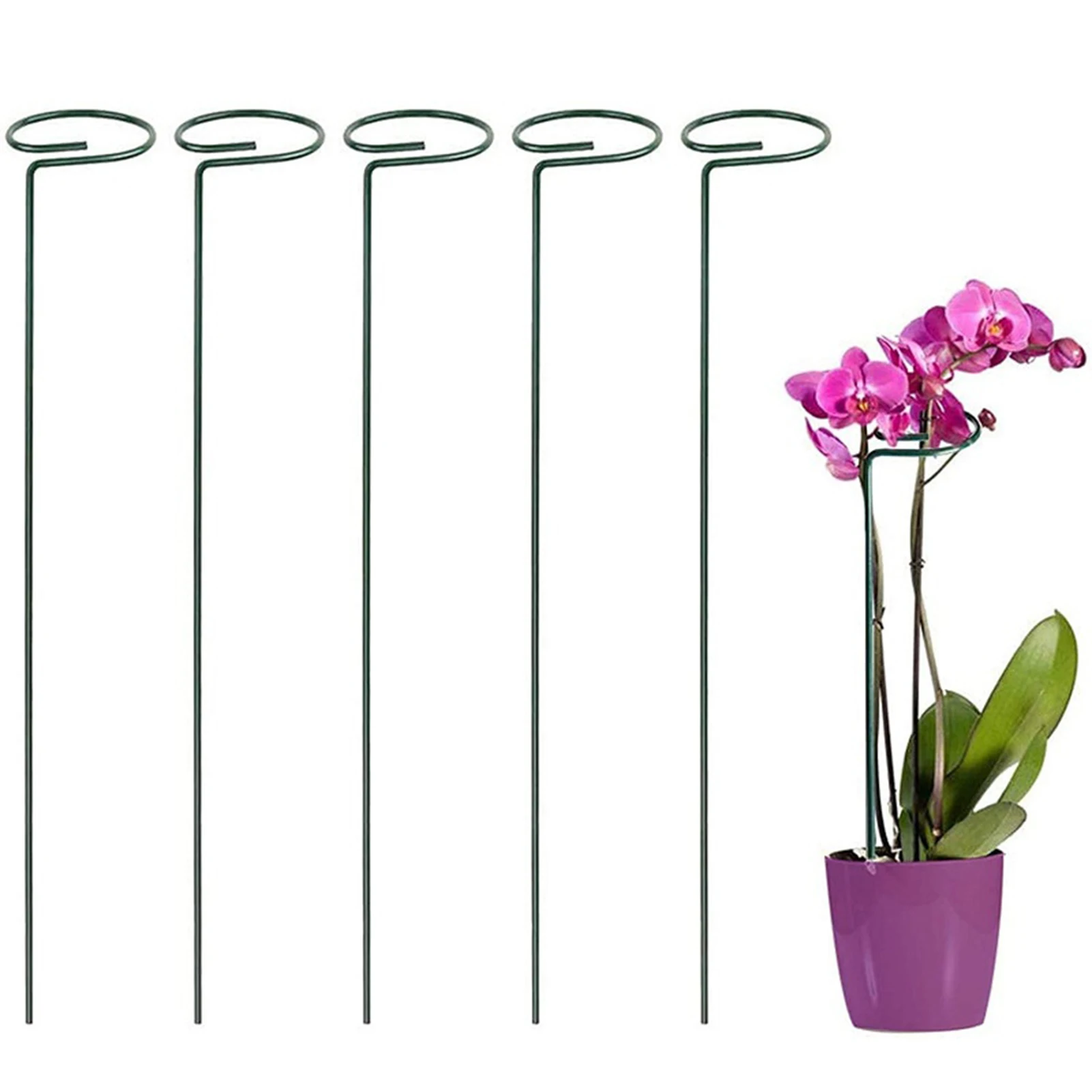 

1/5pcs Garden Plant Metal Stakes Single Stem Flower Plant Support Fits Rose Tomatoes Plants Climbing Rack Gardening Supplies