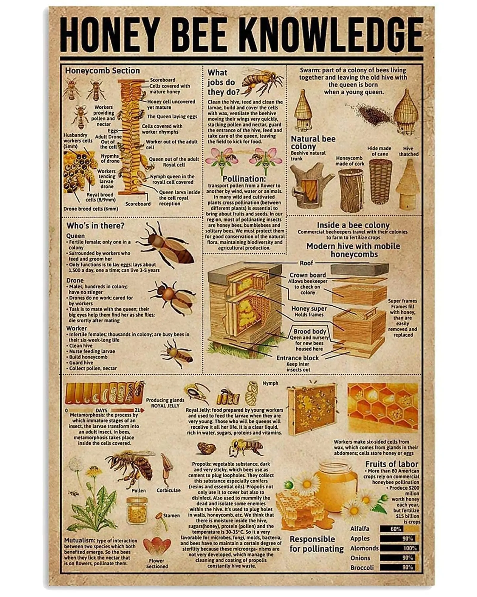 Veidsuh Honey Bee Knowledge 1 Vintage Novelty Funny Home Bathroom Cottage Farm Rustic Man Cave Parlor Retro Tin Sign Mural Wall