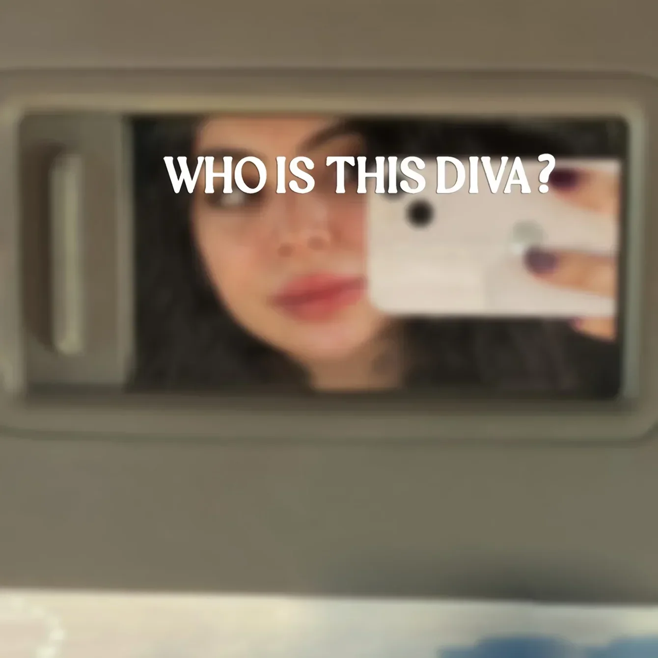 1 unidade de adesivo para carro com tema Diva, "Qual é esta Diva?" Decalque engraçado para personalização de carros