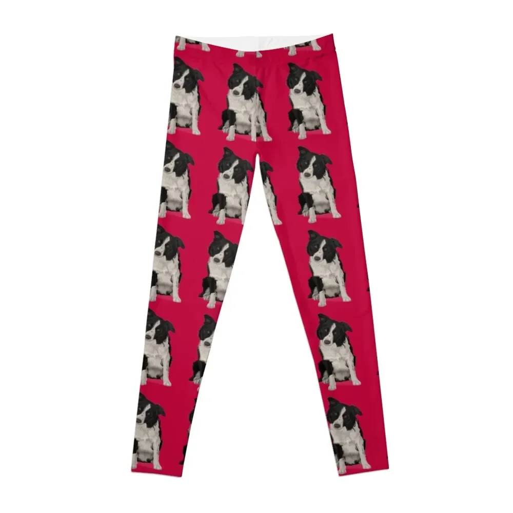 

Border Collie Leggings sports shirts gym legging push up Womens Leggings