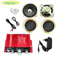 amplifier kit--gold