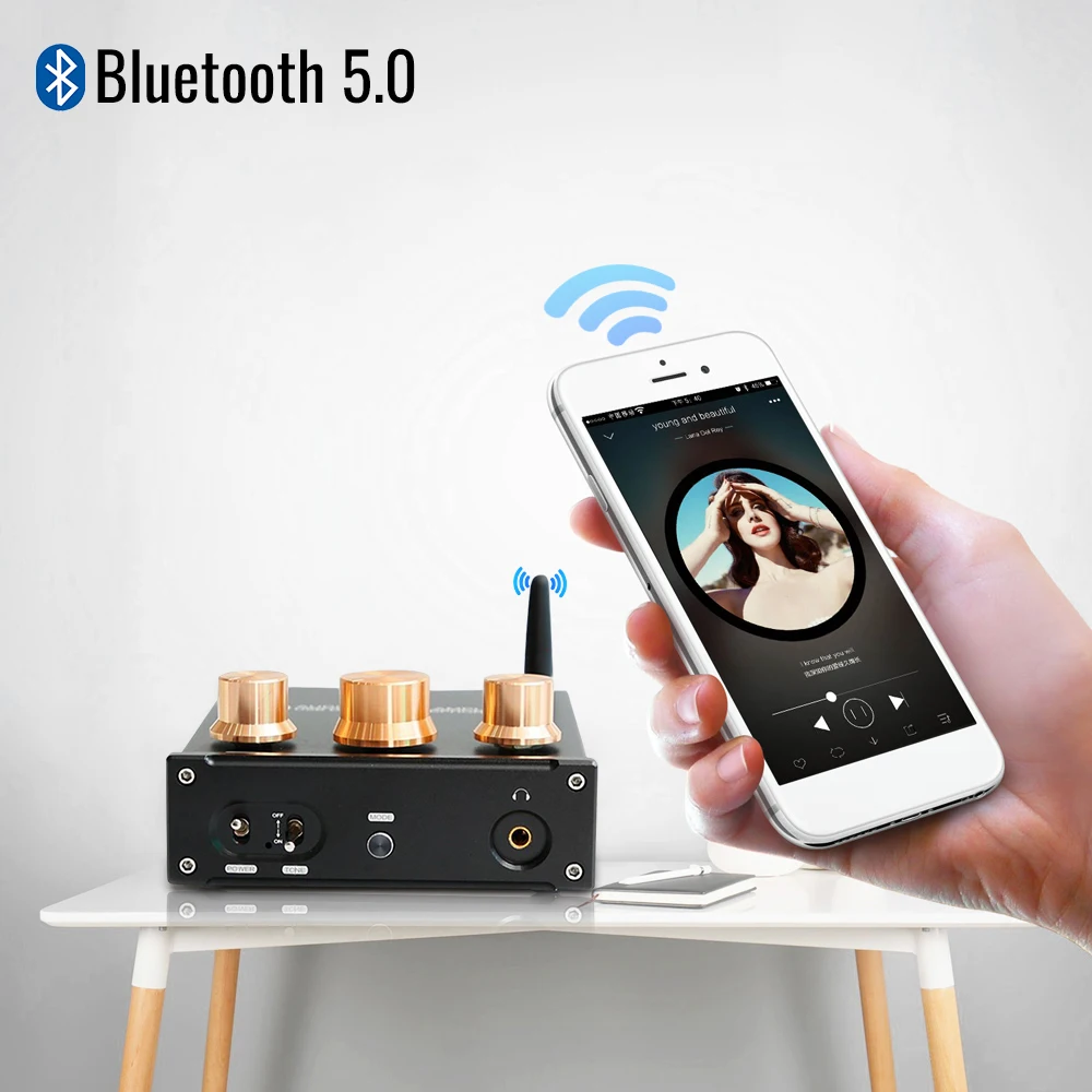 Lyele Audio TPA3116 Digital Port Bluetooth 5.0 HIFI home desktop mini sound amplifier 50W*2 optical fiber coaxial