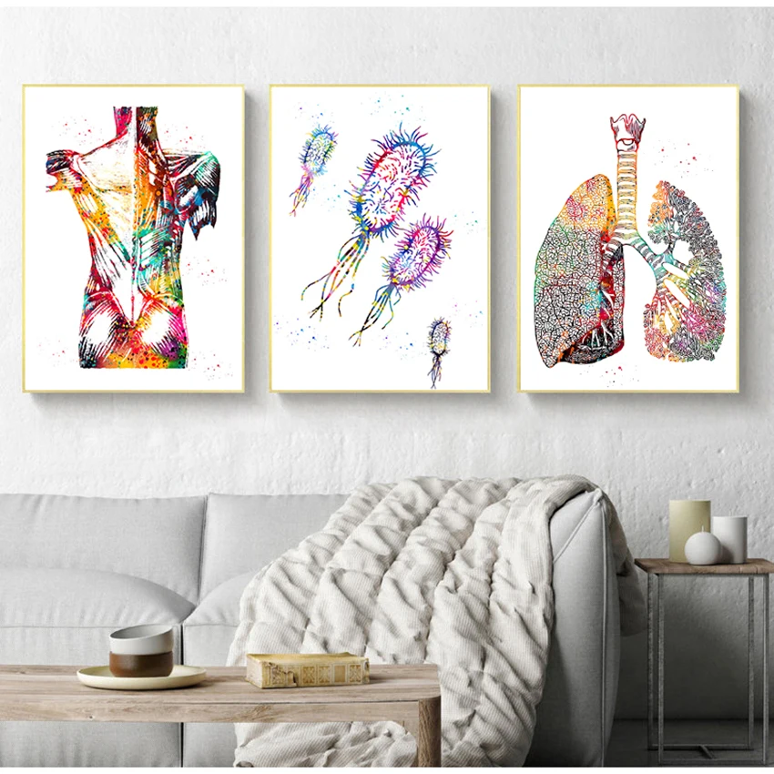 Medical Education Office Picture posters canvas painting Human Anatomy Muscle System Art Print Watercolor Human Figure Painting