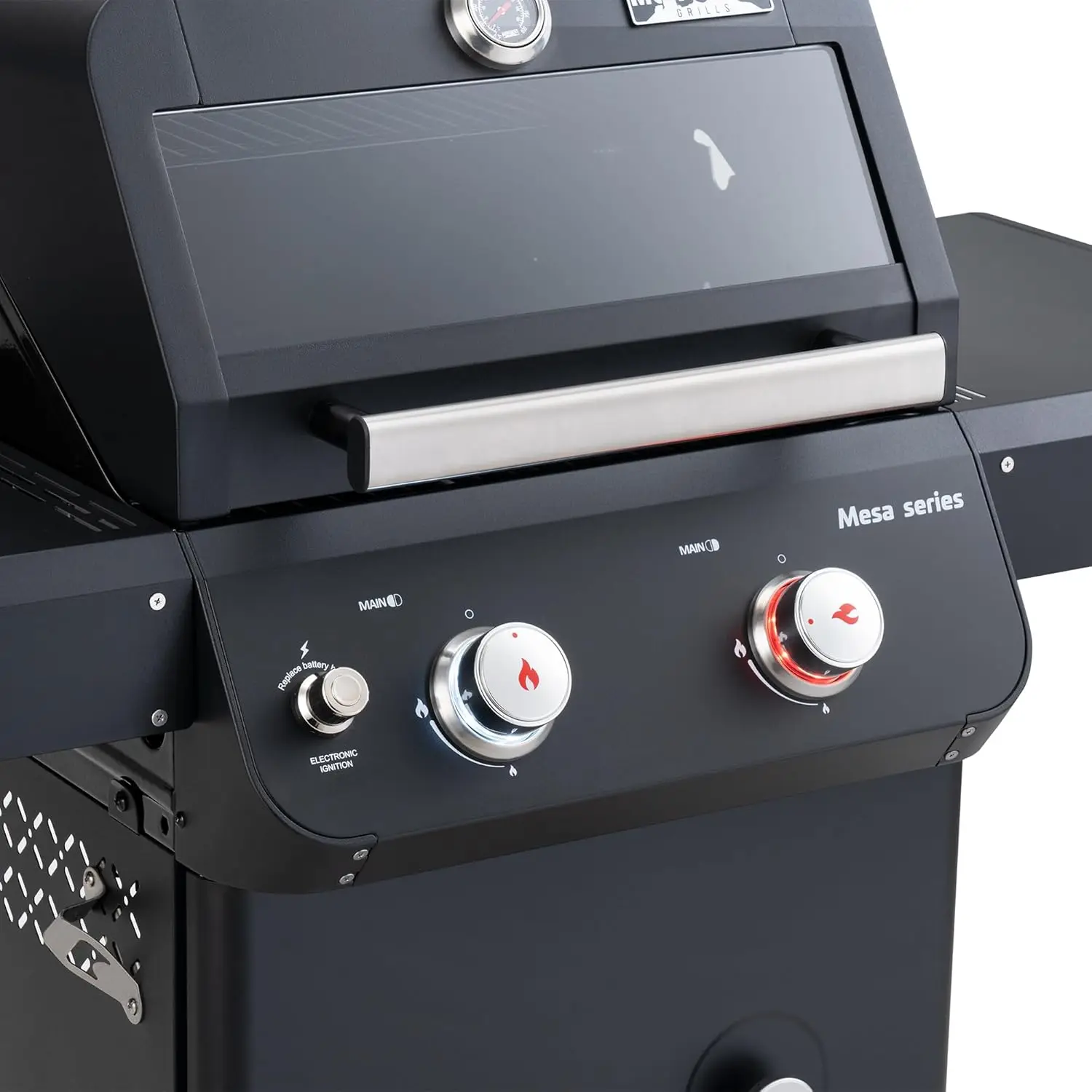 Grills 2-Burner Stainless Steel Liquid Propane Gas Patio Garden Barbecue Grill with Lid, Knob Control and Two Foldable Shelves