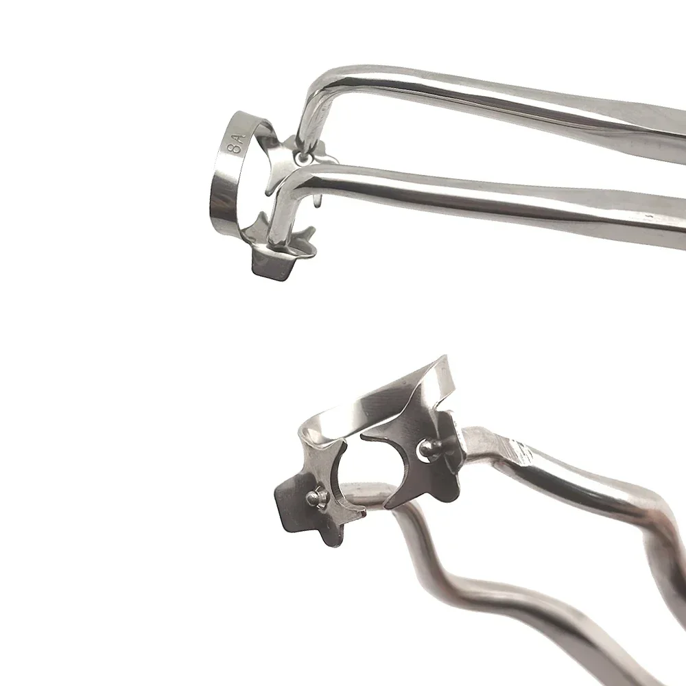 Pinces à barrage en caoutchouc en acier inoxydable, taille 50, pour les Applications endodontiques, restauration et orthodontiques en dentisterie