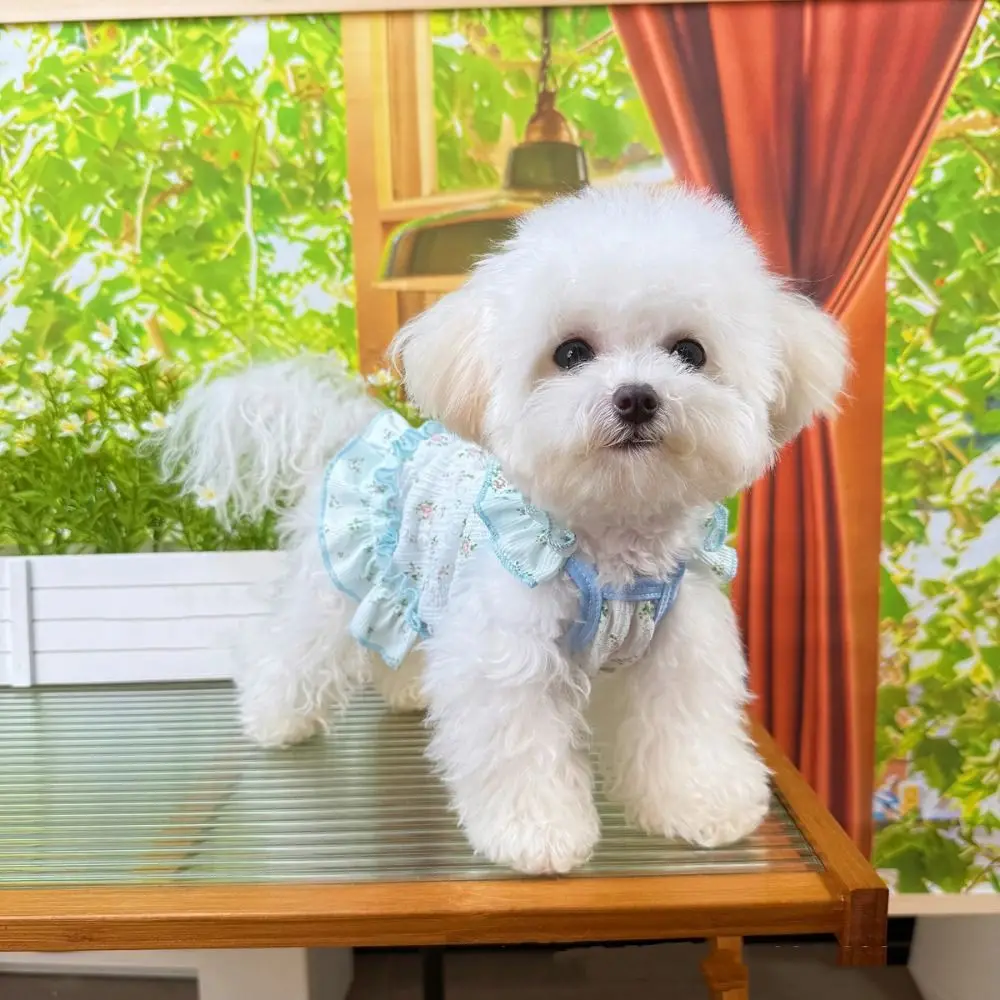 

Pet Clothes Thin Dog Summer Dress Cute Soft Dog Cooler Clothes Skin-friendly Breathable Pet Floral Skirt Kitten