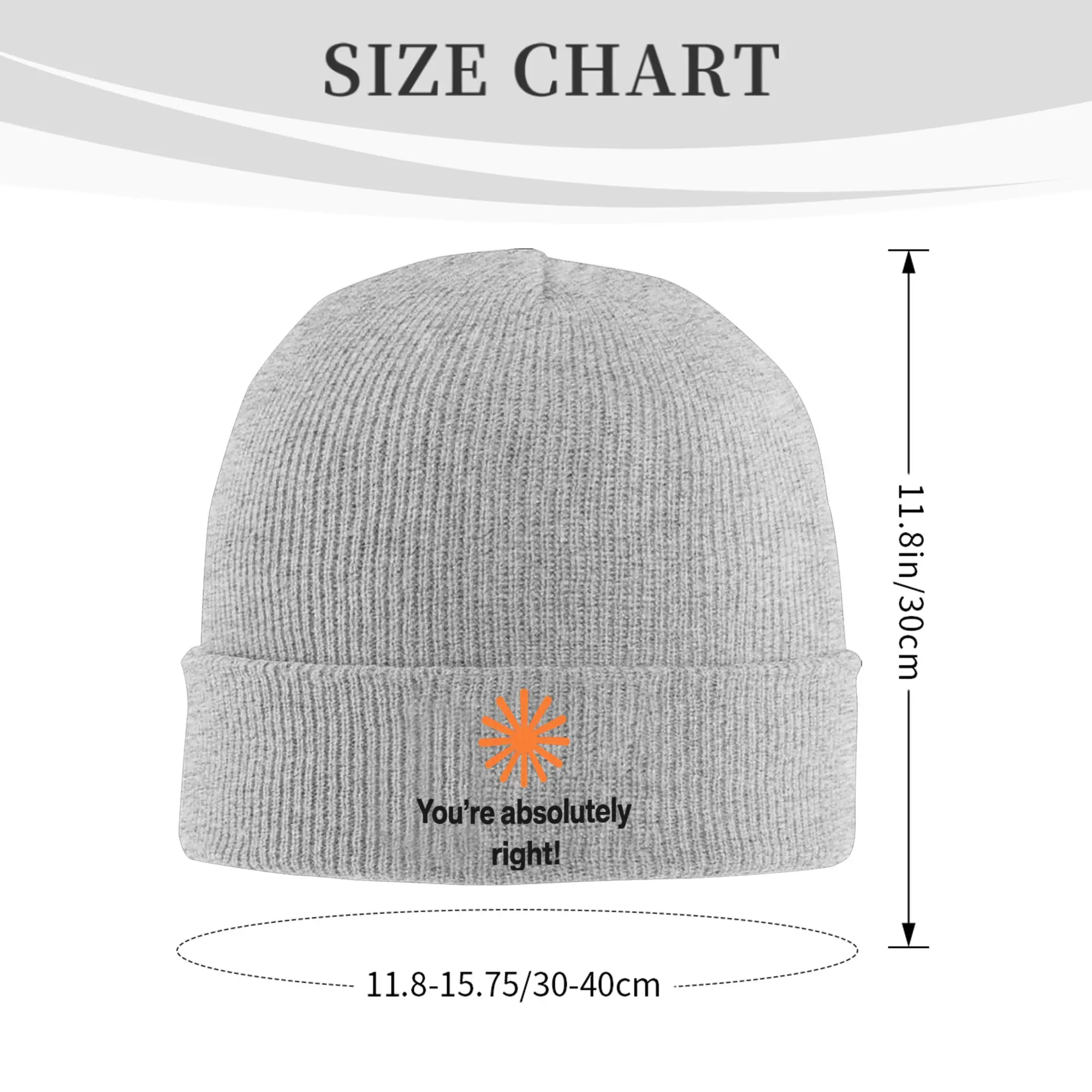 Claude Code You're Absolutely Right  Knitted Hat Beanie Winter Hats Warm Unisex  Casual  Cap Men Women Gift,