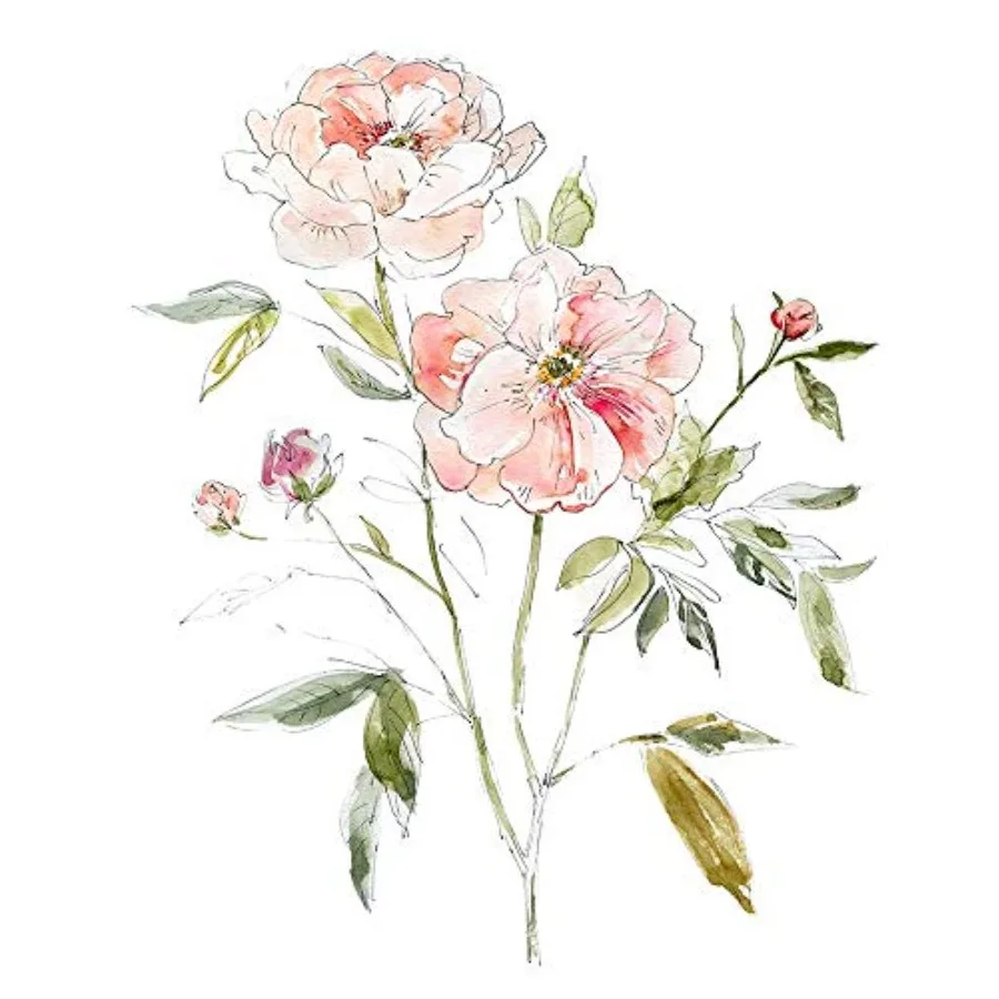 

Posterazzi PDX40891LARGE Sketchbook Cottage Rose I Фотопринт 24 x 36 Multi