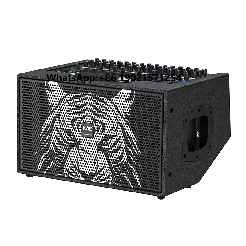 

Stereo Sound Live Stage Digital No Damage Multiunit Serial Speaker With Microphone and Built-in Sound Card for Live