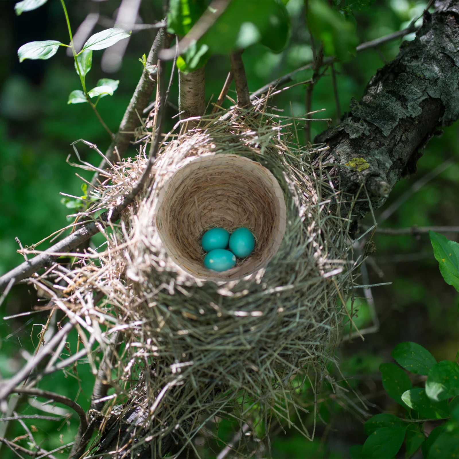 

2pcs Corn Husk Straw Nests Bird Breeding Hand Woven Cage Coconut Style Pet Egg Nests Pigeon Accessories Warm Shelter Natural