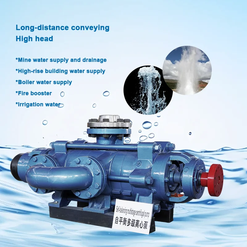 Customized Horizontal Multistage Pump for Mining Dewatering Agricultural Irrigation Competitive Price