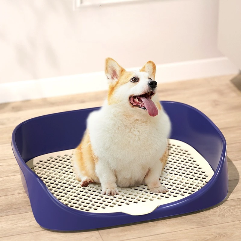 #17 Indoor Pet Litter Trays Comparison Guide