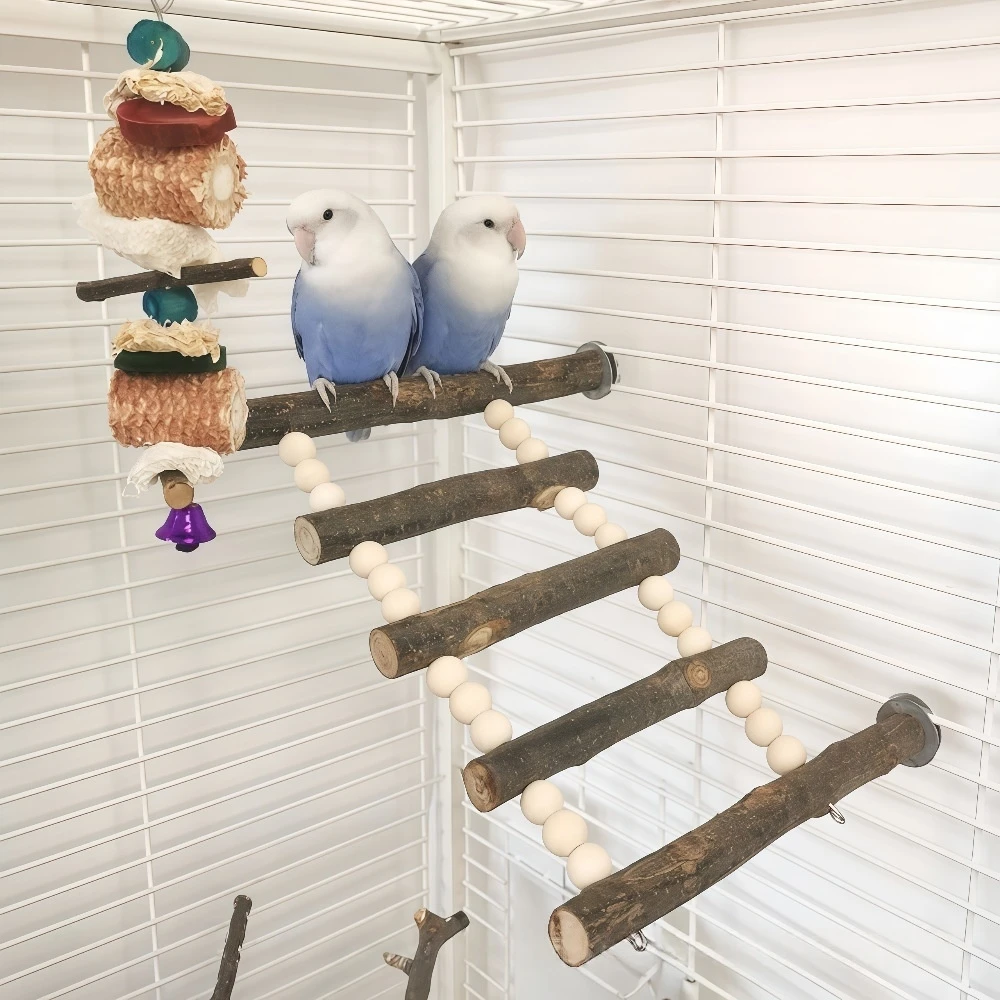Thumbnail 4 - #21 Bird Perch Stands Comparison Guide