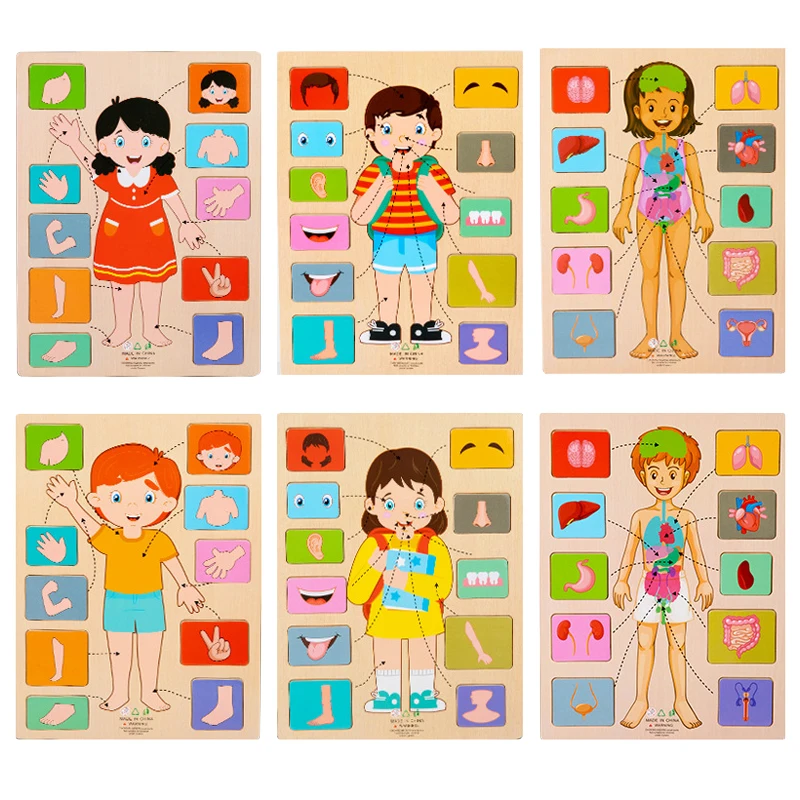 Montessori Human Body Parts Structure Wooden Puzzles Toys Parish Organs Cognitive Open Learning Educational Toys Matching Game