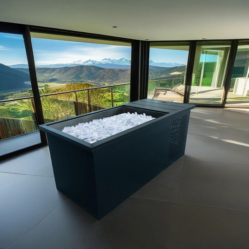 Customizable ODM OEM Private Household Integrated Stainless Steel Cold Plunge Tub With Chiller and Filter  Wifi App Control