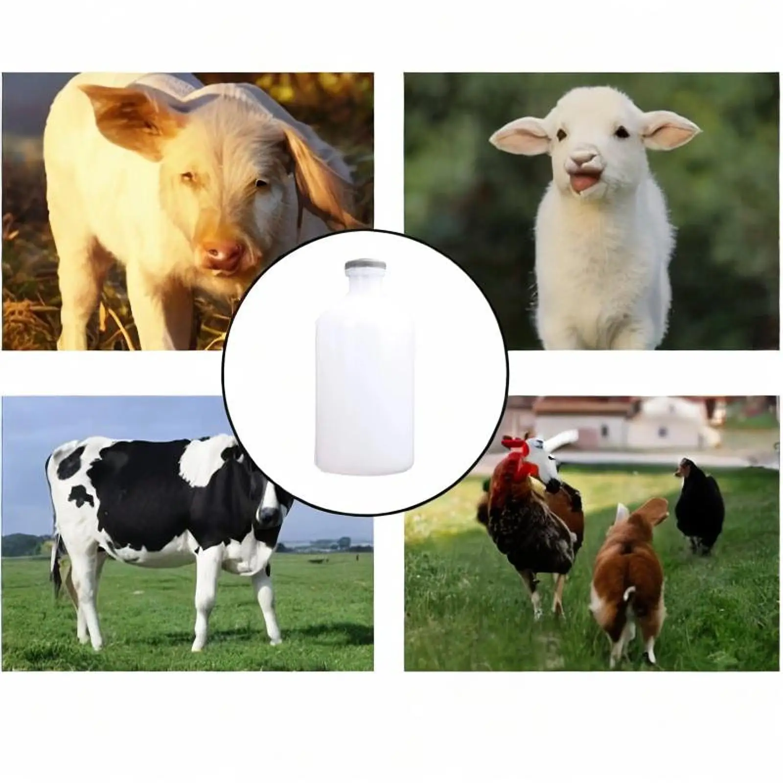 Jeringa para aves de corral, botella médica, dispositivo de vacunación de animales tipo G, práctica veterinaria, inyección continua reutilizable para jardín