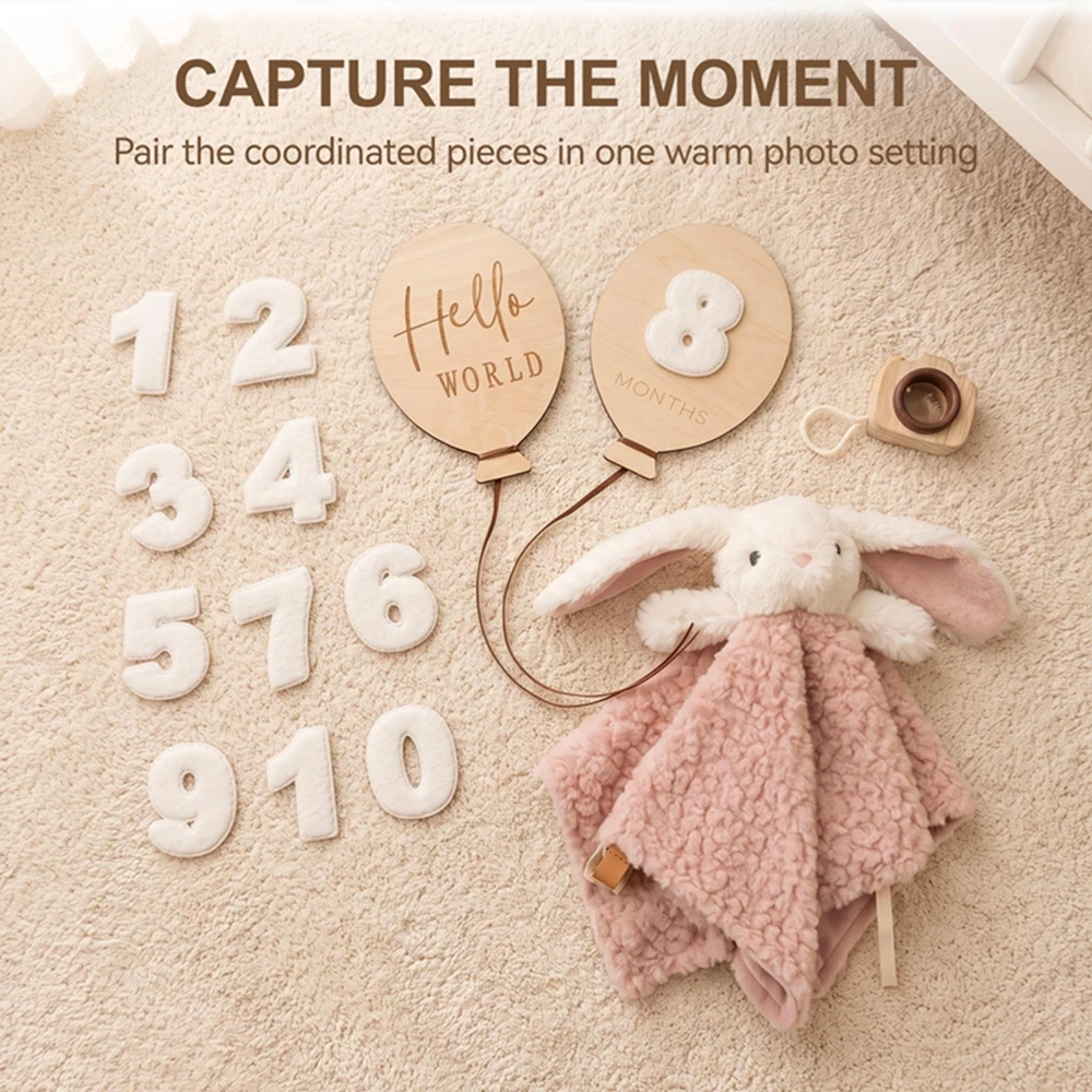 Newborn Baby Photo Set Bunny Plush Comforter 0-9 Numbers Hello World Month Wood Camera 0-12M Milestone Gift Set Photography