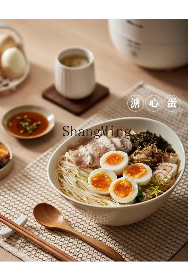 ZYY Home New Breakfast Machine Multifunctional Hot Spring Egg Boiled Egg Artifact