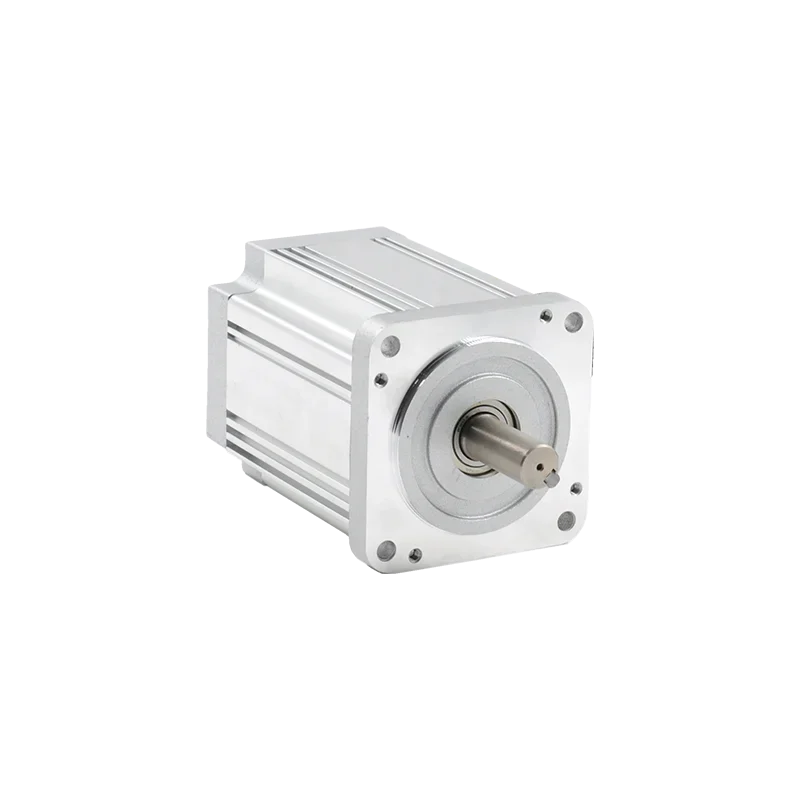 NEMA 32 310VDC 400W Permanent Magnet Brushless DC Motor