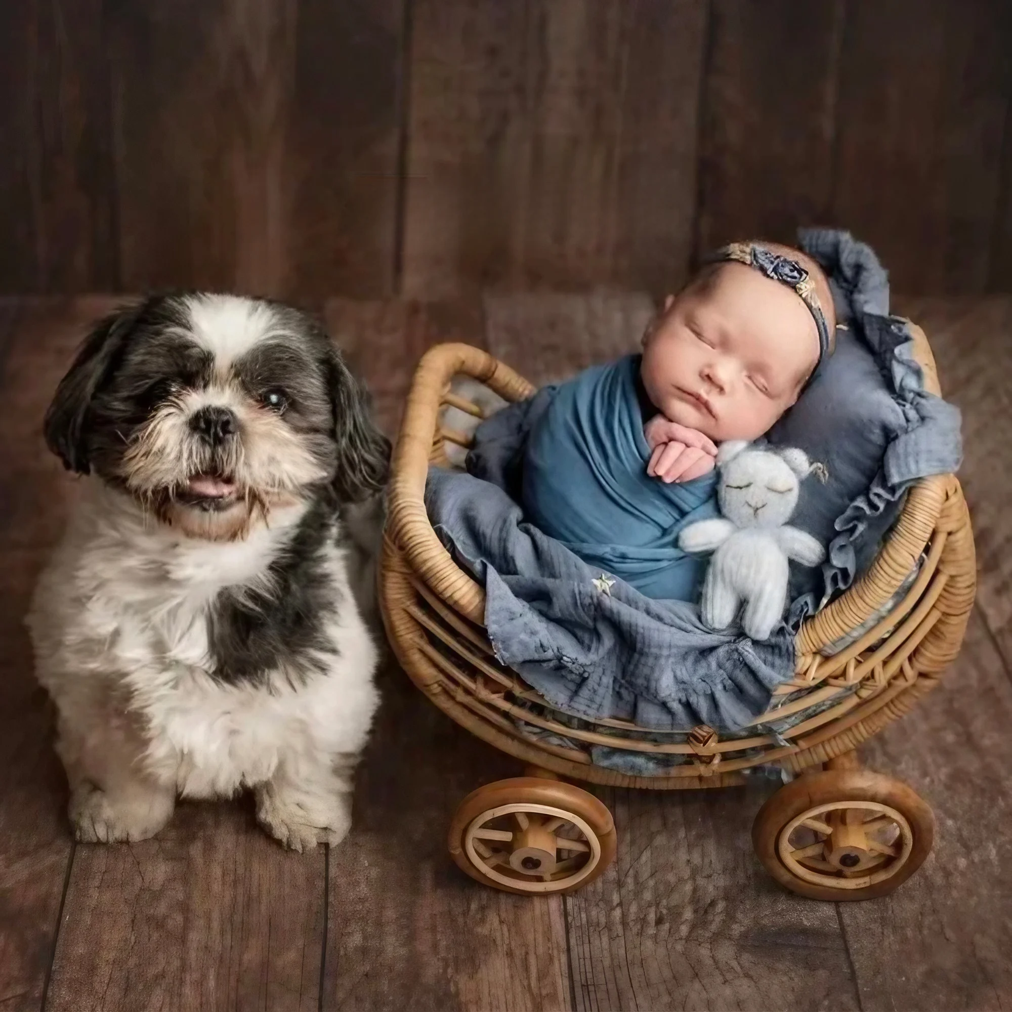 Vintage Baby Rattan Cart Newborn Photography Props Basket Baby Trolley Crib Newborn Photography Chair Stroller Prop Fotografia