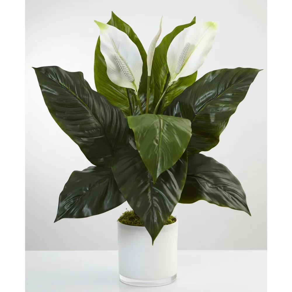

Искусственное растение лилии мира в стеклянном горшке - реалистичный декор для домашнего офиса, шелковая цветочная композиция