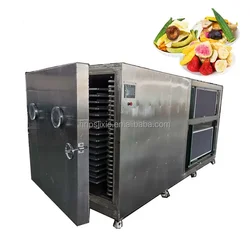 High quality freeze drying machine sublimation condensation dryer vacuum lyophilizer price freeze drying