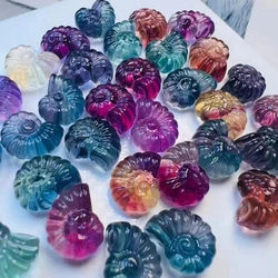 Natural Rainbow Fluorite Mini Sea Conch Shell Carvings Crystals Healing Stone Craft DIY Figurine Gifts Home Room Decoration