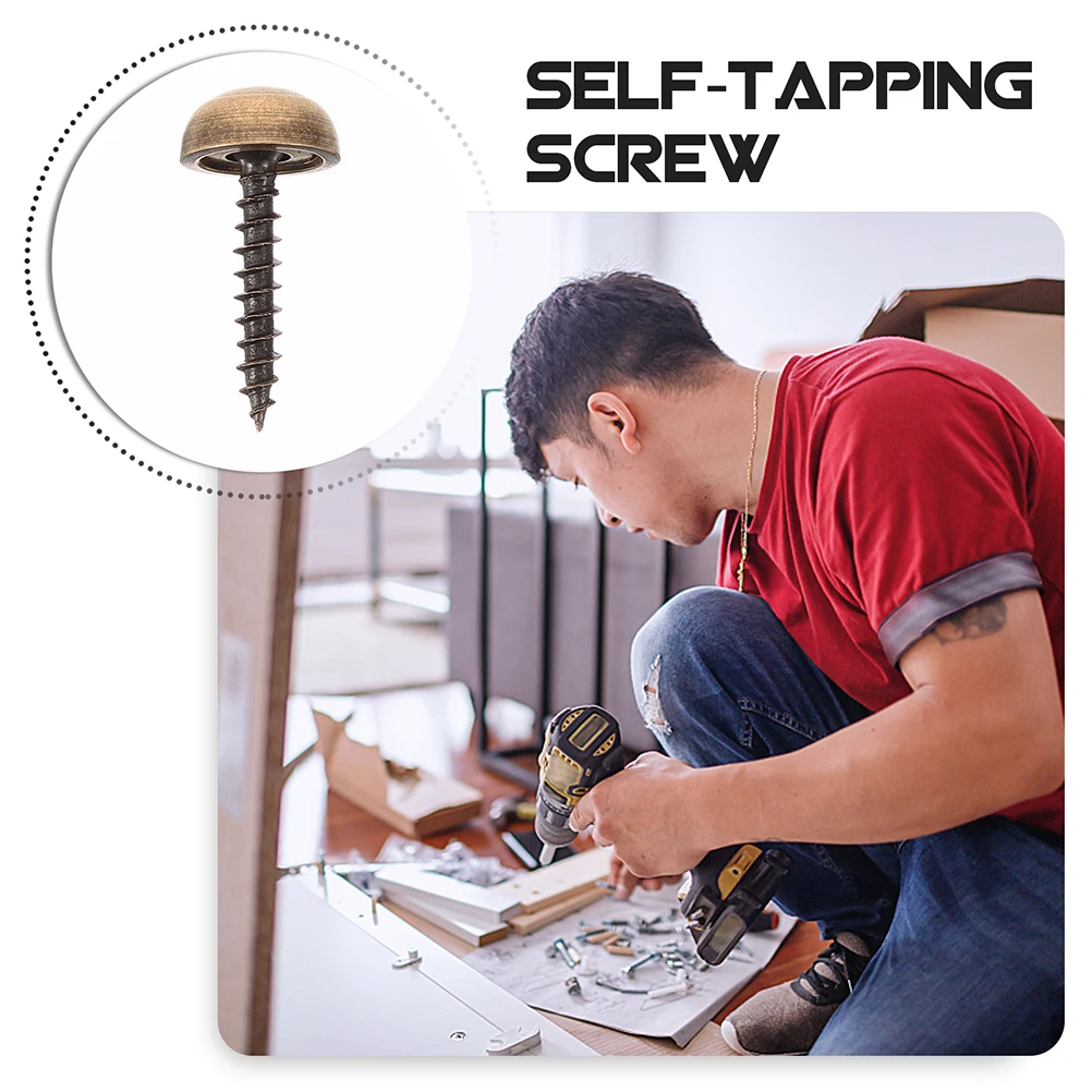  Self-tapping Screws Decorative Caps Brass Mirror with for Wall Mounting Covers Bolts